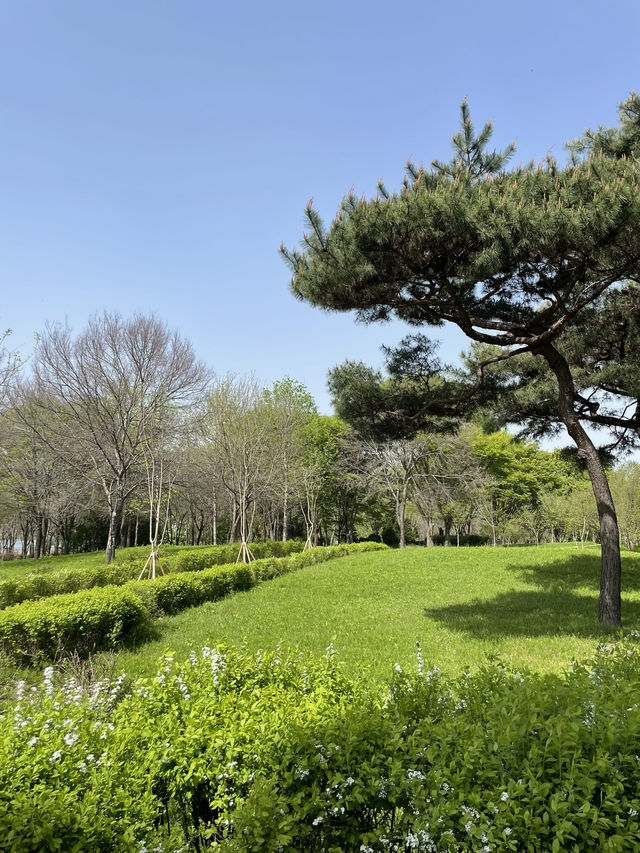 🖼️정말 그림속 한장면 같았던 양평 카페그림정원🌳