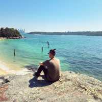 A Perfect Day at Shark Beach: Swim, Pizza, Relax