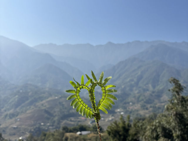 A Magical One-Day Trekking Experience in Sapa Village