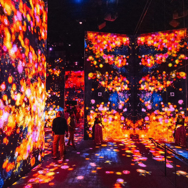 teamLab Borderless:
