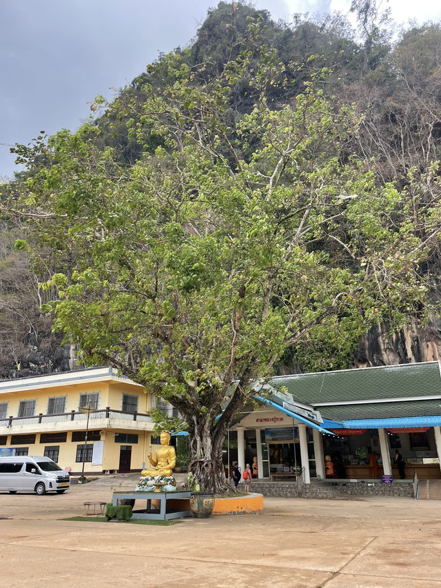 The Reverent Golden Buddha Beneath the Sacred Tree