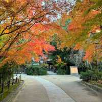 Ujigami Shrine