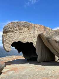 Wilderness Wonder: Exploring Flinders Chase National Park, Kangaroo Island