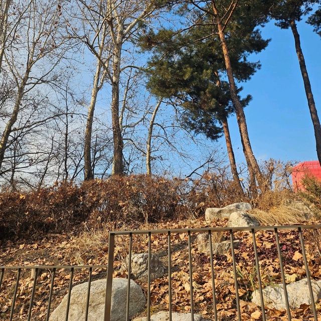아이랑 함께 하는 어린이대공원
