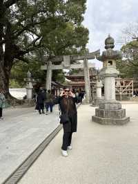 Dazaifu Tenmangu Shrine | Fukuoka | Japan 🇯🇵