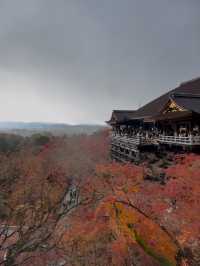 First Snowfall at Kiyomizudera: A Magical Winter Scene with Rainbow and Sunset