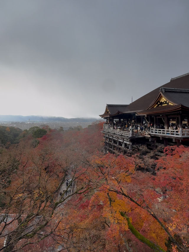 First Snowfall at Kiyomizudera: A Magical Winter Scene with Rainbow and Sunset