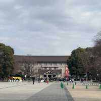 Relaxing time at Ueno Park, Tokyo