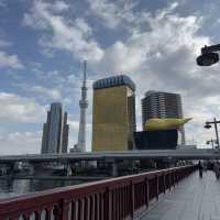 Relaxing with Tokyo Skytree view 🇯🇵