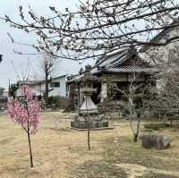 🇯🇵【香川県】四国八十八ヶ所霊場 第87番札所 長尾寺