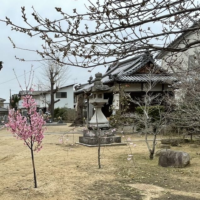 🇯🇵【香川県】四国八十八ヶ所霊場 第87番札所 長尾寺