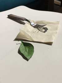감귤 프렌치코스트가 맛있는 곳 
