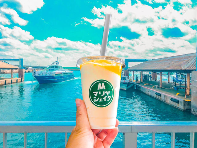 【石垣島】石垣島の玄関口⛴️離島ターミナル