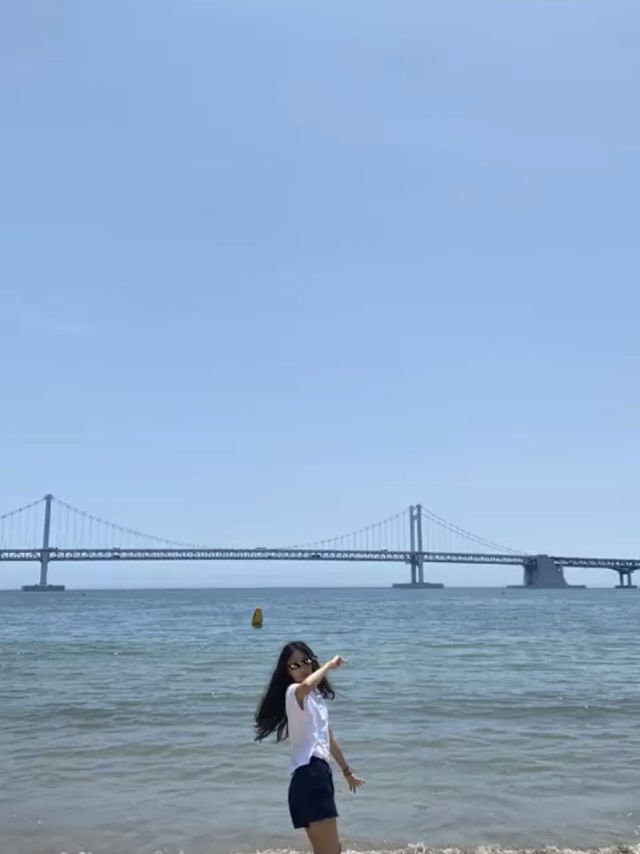 강아지와 함께하는 광안리 여행!🐕🌊