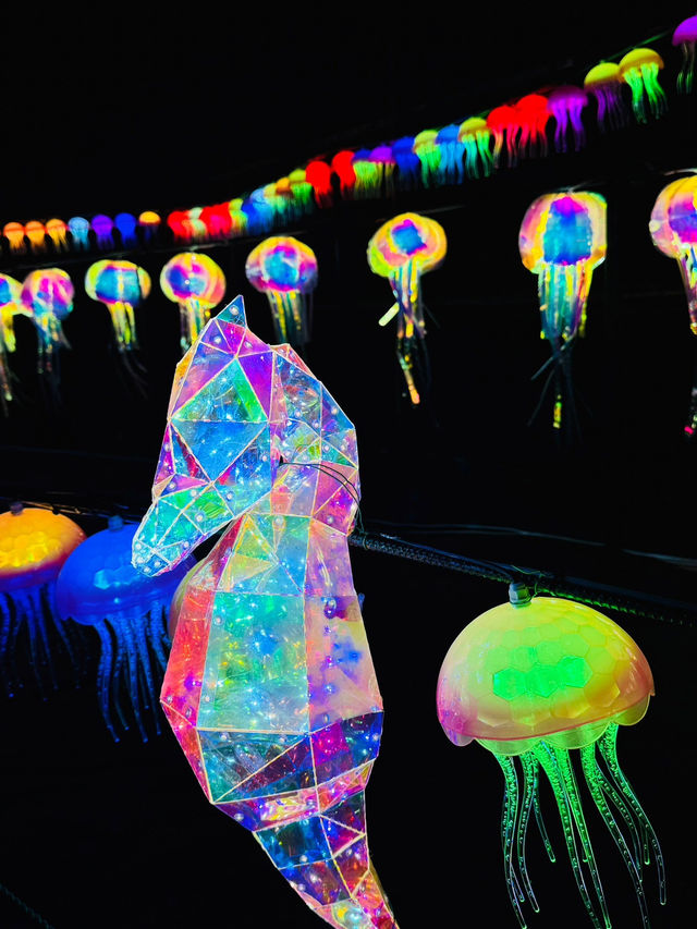 ✨🌈 伊豆ぐらんぱる公園「グランイルミ」日本屈指の体験型イルミネーション！ 🌈✨