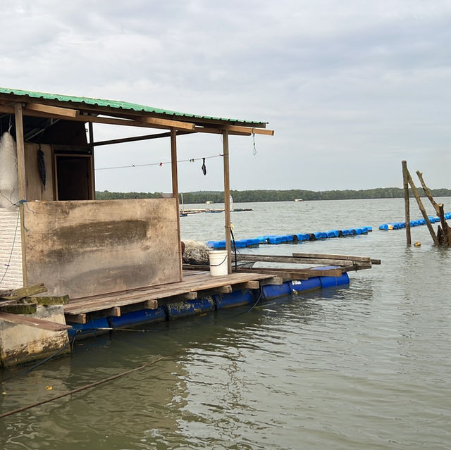 Seafood on the kelong 