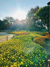 Xianhu Botanical Garden