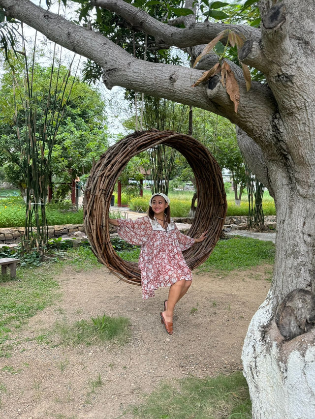 CUTEST SHEEP FARM IN VINH HY, VIETNAM 🇻🇳