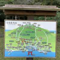 Deer-ly Loved Miyajima: A Day Trip to Remember! 