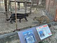 🇯🇵【愛媛県】子連れ旅行におすすめ！スタンプラリーが楽しい動物園🦁