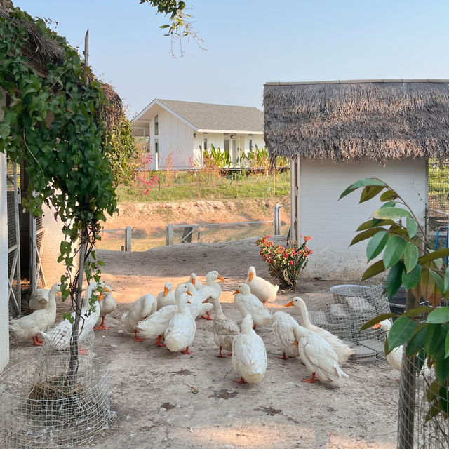 🧺ที่พักนครนายก ใครไปก็ต้องหลงรัก🫶🏻🪿🍃