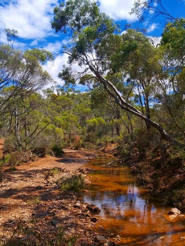 🌊 Discover the Charm of Port Neill, South Australia 🇦🇺