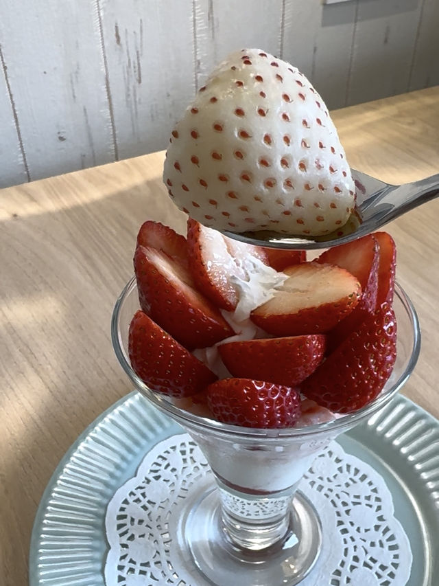 【福岡観光】その日に採ったいちごが食べられる🍓いちご摘みできる農園さんのカフェ🍓