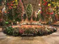 สวนดอกไม้ล้ำๆ และแสงสียามค่ำคืนอลังการ ใกล้นาโกย่า