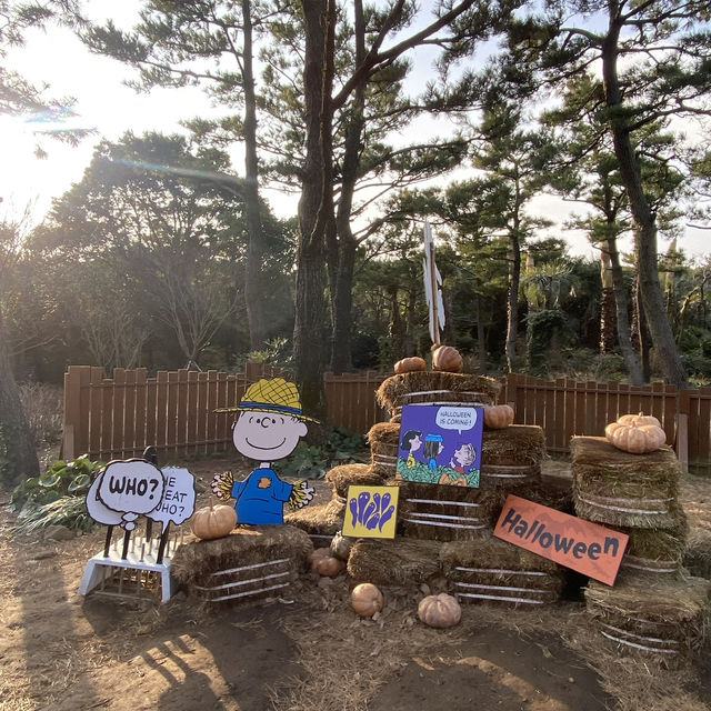 아이들도 좋아 할 제주도 동쪽 코스 추천 ▪스누피가든