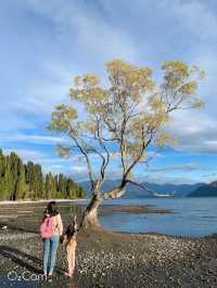 紐西蘭🇳🇿 瓦納卡 來看全世界最孤獨的樹 #thatwanakatree 清晨野餐大推👍