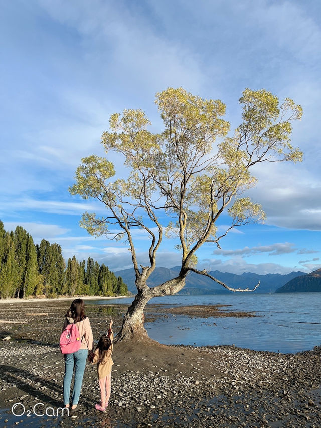 紐西蘭🇳🇿 瓦納卡 來看全世界最孤獨的樹 #thatwanakatree 清晨野餐大推👍