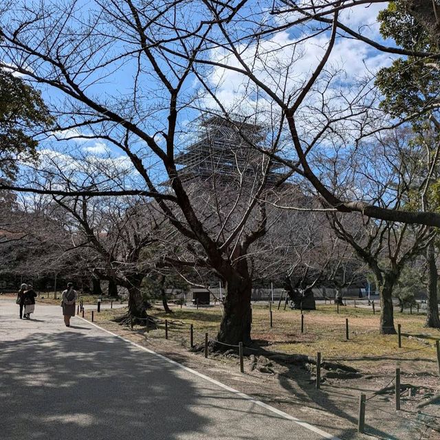 Fukuoka Castle Ruins (Maizuru Park)