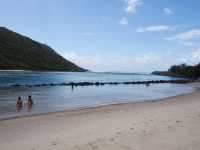 🇦🇺｜ゴールドコーストの隠れた楽園：Tallebudgera Creek