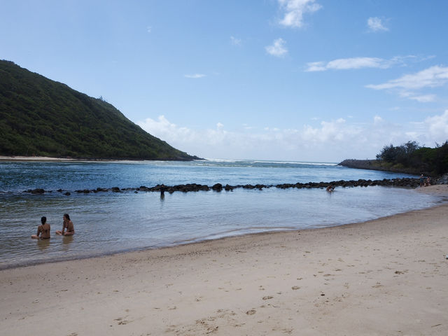 🇦🇺｜ゴールドコーストの隠れた楽園：Tallebudgera Creek