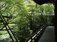 Eikando Temple: Kyoto’s Autumn Wonderland
