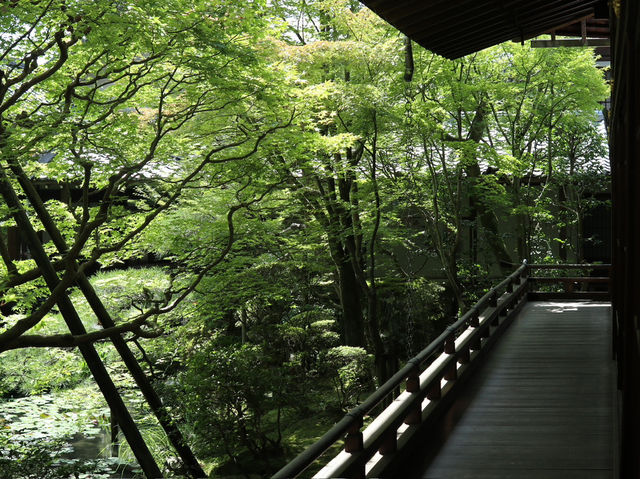 Eikando Temple: Kyoto’s Autumn Wonderland