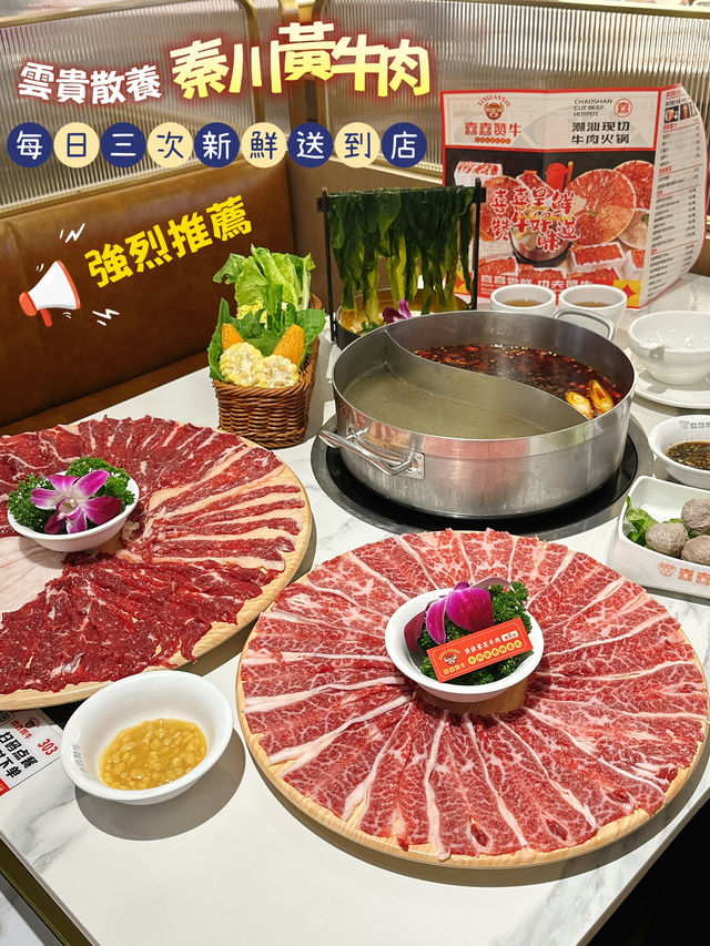 深圳潮汕牛肉火鍋之旅🍲
