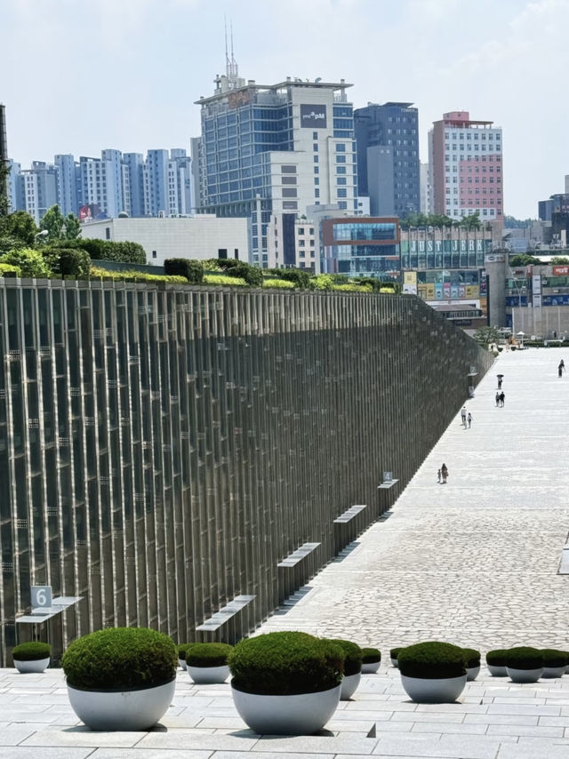 A Charming Visit to Ewha Womans University, Seoul