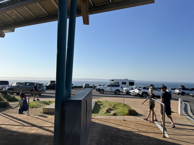 🇦🇺 又有海景又是企鵝的家！🐧