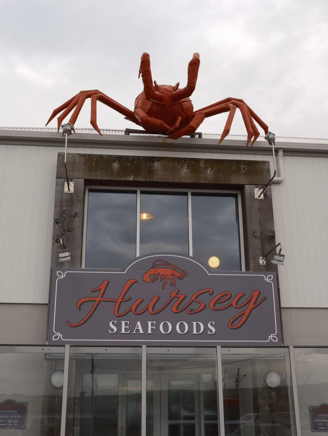 A Charming Escape to Stanley, Australia 