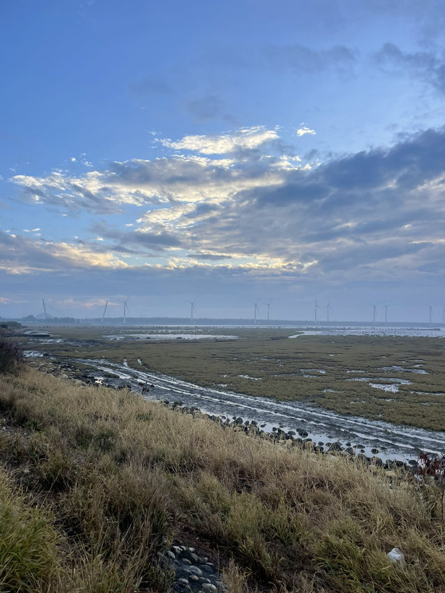 Gaomei Wetlands on a Grey Day: A Different Kind of Beauty 🌫️🌊 