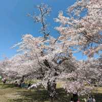 Mikamine Park (三神峯公園)