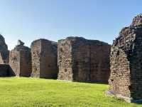 Walking Through History: Exploring the Roman Forum in Rome