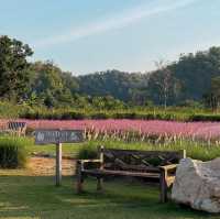 Audrey Hobby Farm • Khaoyai ⛅️🏡🌷⛲️✨