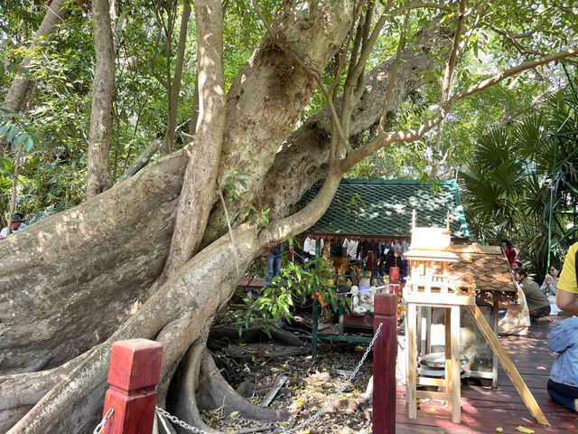 คำชะโนด วังนาคินทร์ จ.อุดรธานี