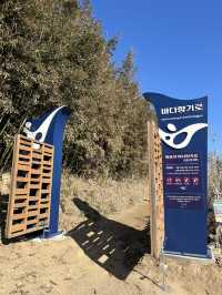 혼자서도 알차게 즐기는 속초 뚜벅이 1박2일 코스✨