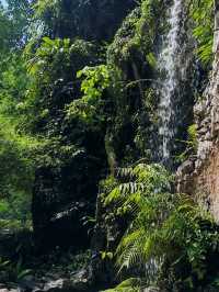 Ipoh the cave moments and food explorations