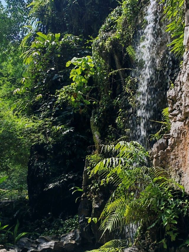Ipoh the cave moments and food explorations