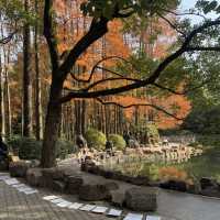 🌟 Hidden Gems at Shanghai’s People's Park!