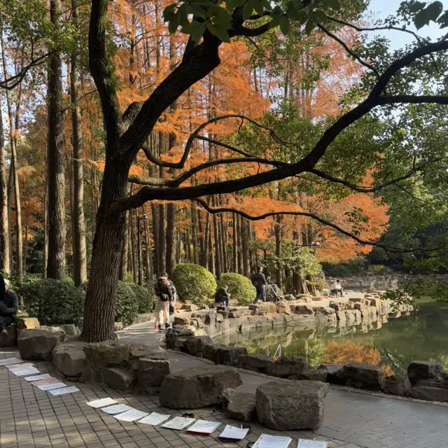 🌟 Hidden Gems at Shanghai’s People's Park!